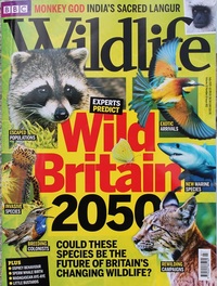 BBC Wildlife
