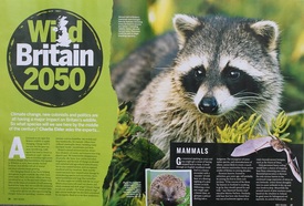 BBC Wildlife mag