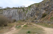 Radford Quarry