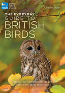 Everyday Guide British Birds